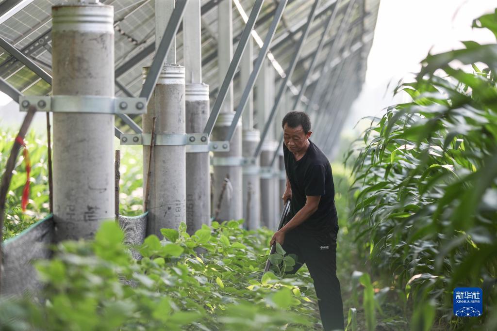 澳门单张牌规则